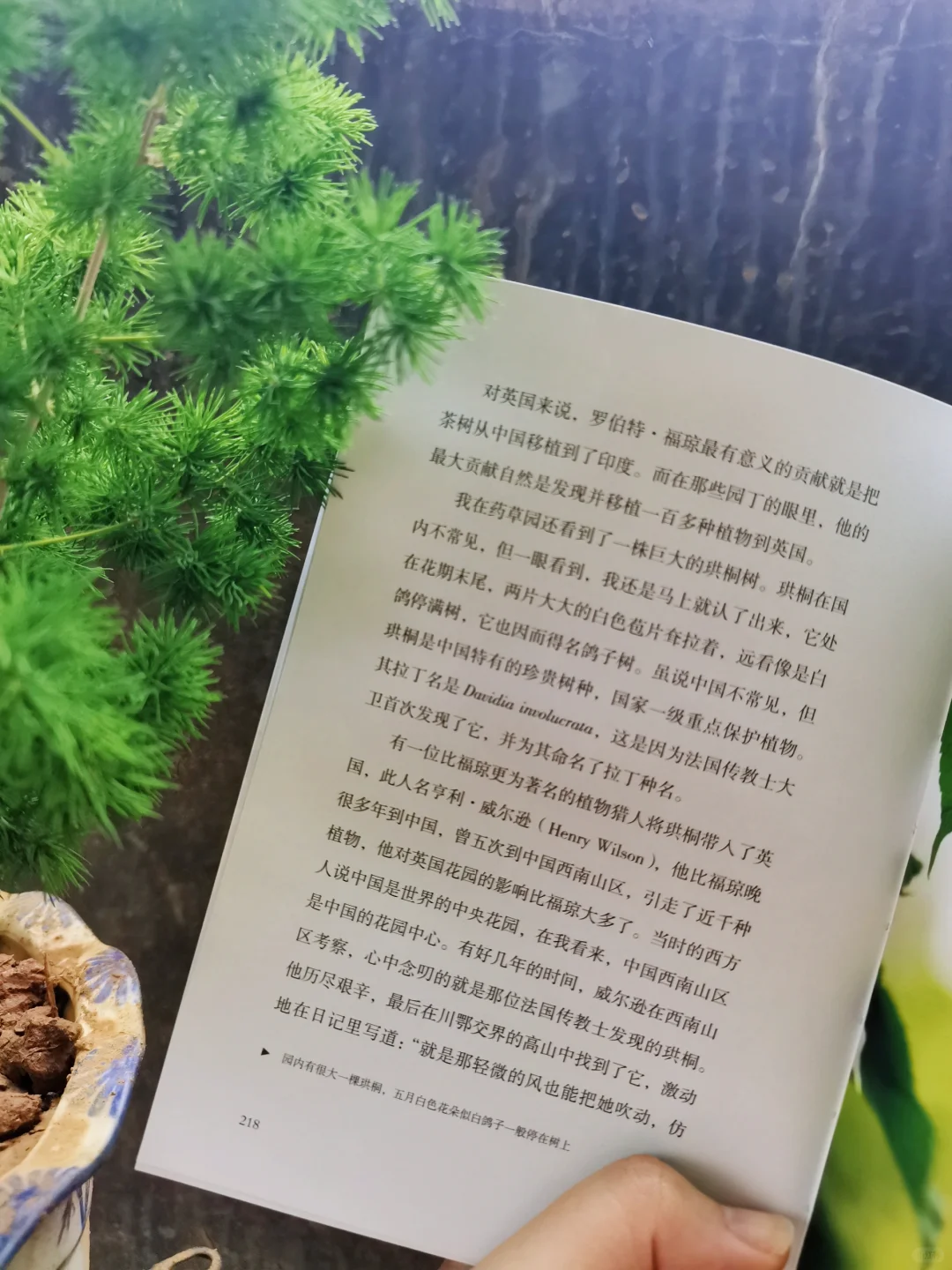 真解压啊！在花草树木之间，净化班味