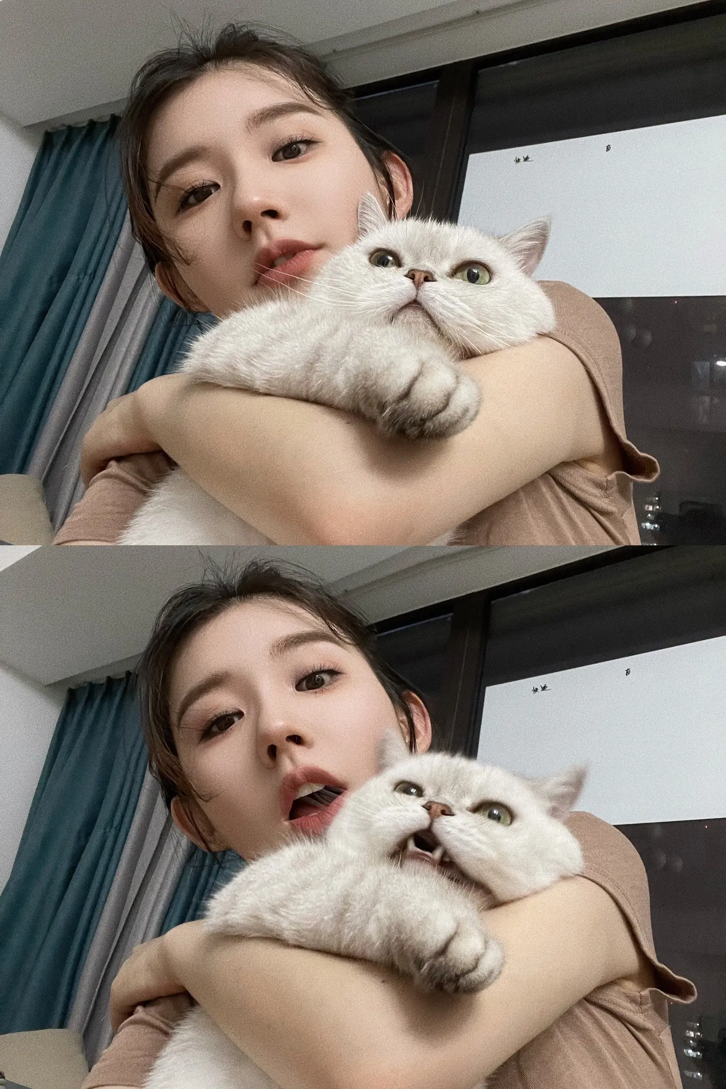 🐱：你好了没 我真的不想营业诶。