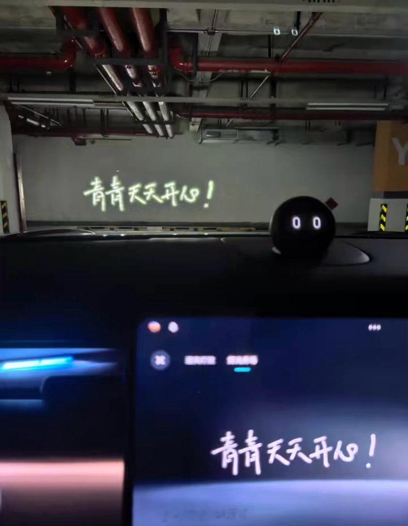 一开始我还以为是代写黑稿黑蔚来，了解了一下才知道原来是蔚来那个投影大灯的代写服务