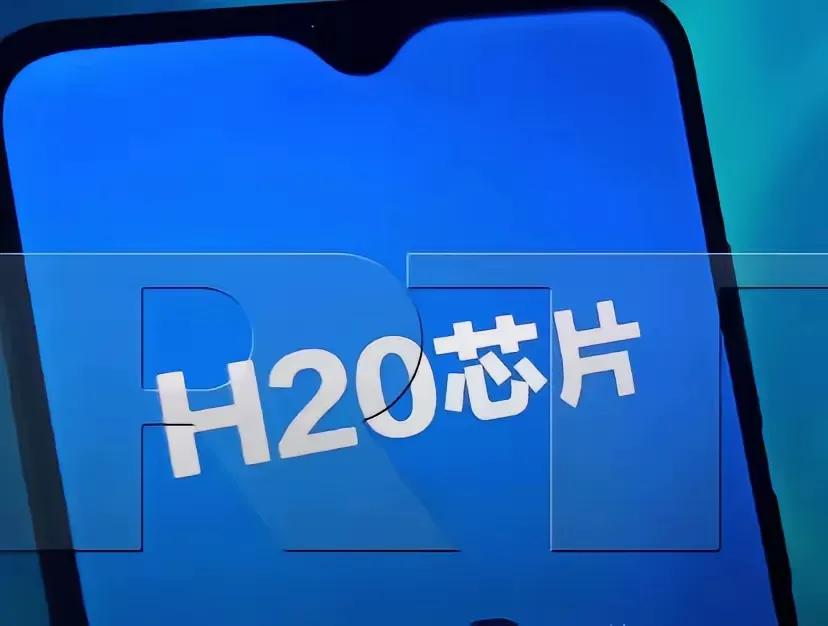 黄仁勋估计做梦都要笑醒了，  
以为H20芯片在中国市场要大赚特赚，  
结果国