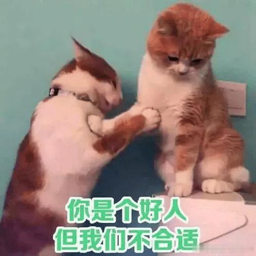 12星座“被分手”后的第一反应白羊：凭什么金牛：我哪不好双子：行吧巨蟹：为什么狮