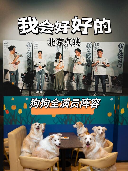 张子枫《我会好好的》｜养宠的最后一课