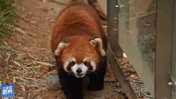 我的今日状态：😁轻松愉快
我这里的天气：🌧下雨