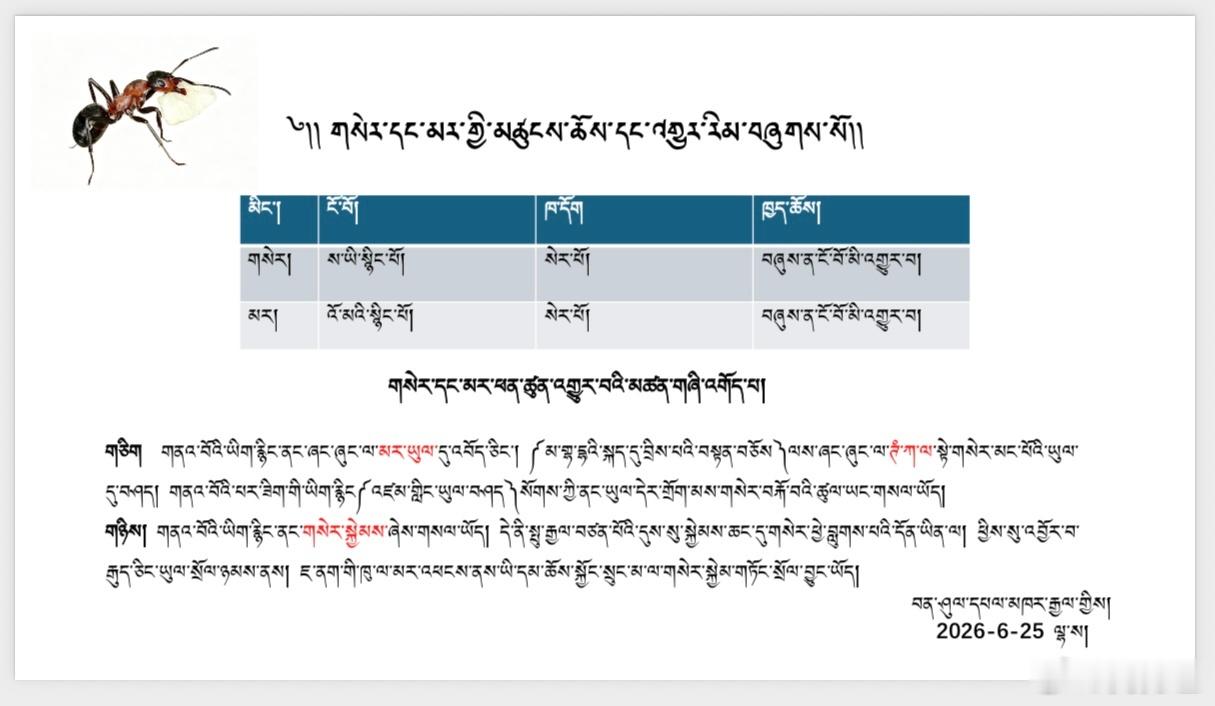 རྣམ་དཔྱོད་མཚམས་སྤྲིན་ཐིག་ལེར་མངལ་ཆགས་པའི