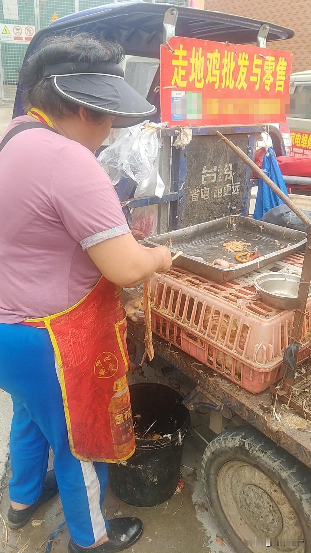 四月十二号星期天休息的时候，在菜市场看到有卖土鸡的流动摊点。
询价要16块钱一斤