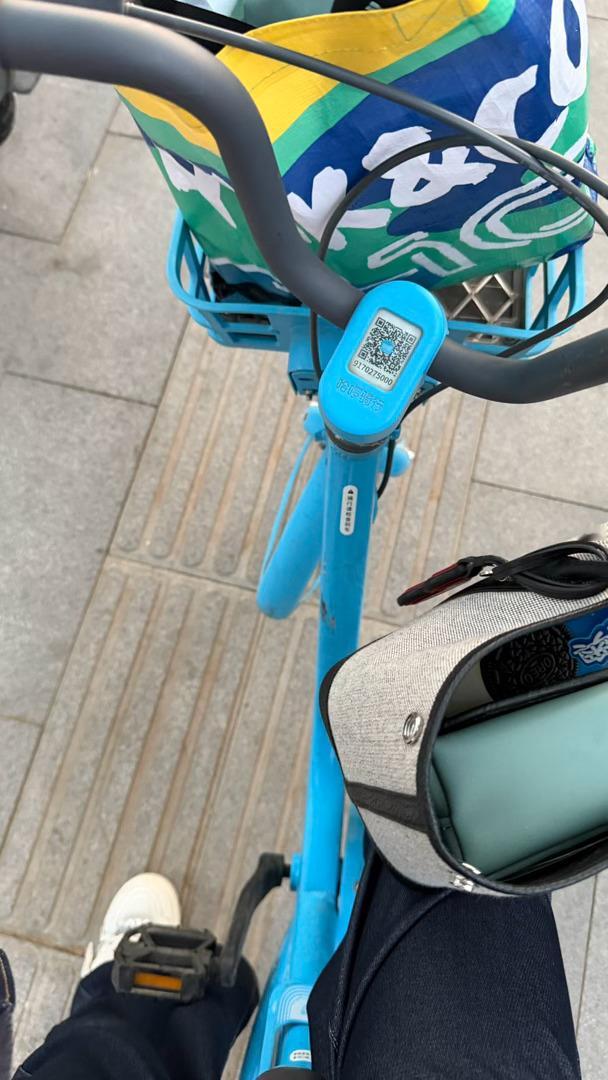 走麻了…终于到家了………傍晚离开展馆的时候有超过200个人叫车…而机智的我选择骑