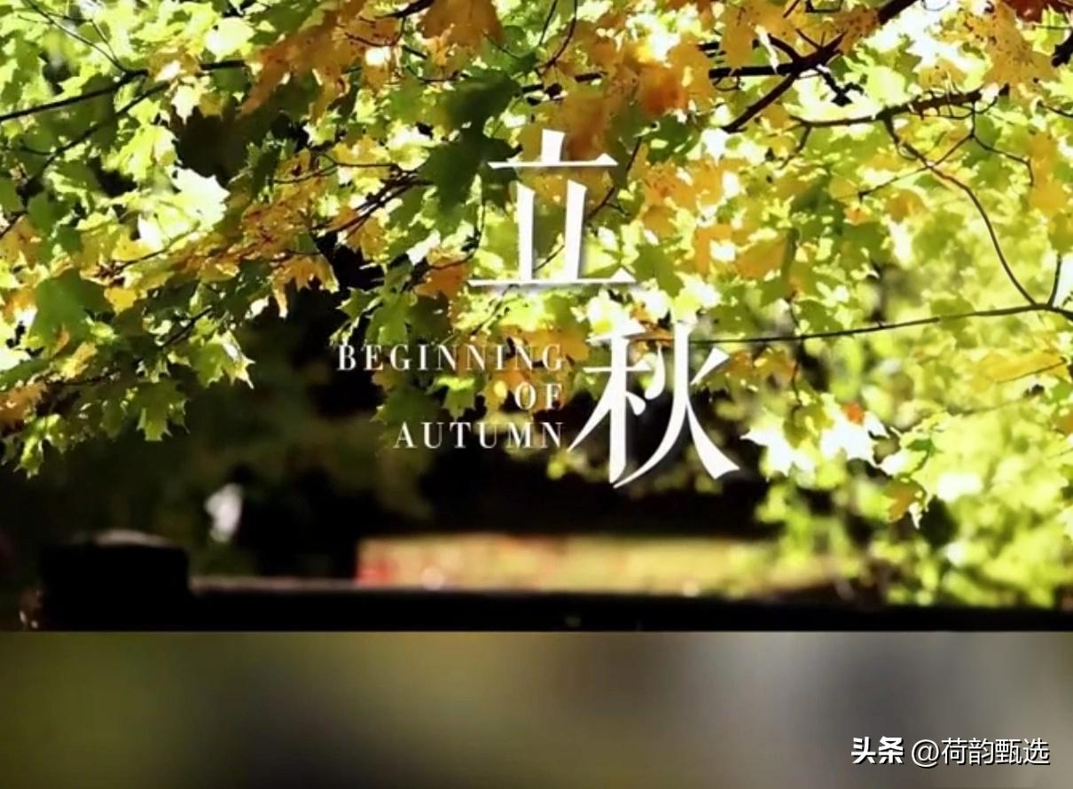 今晚19:42立秋！为啥还40℃？气象局专家一句话说透了

8月7日晚上7点42