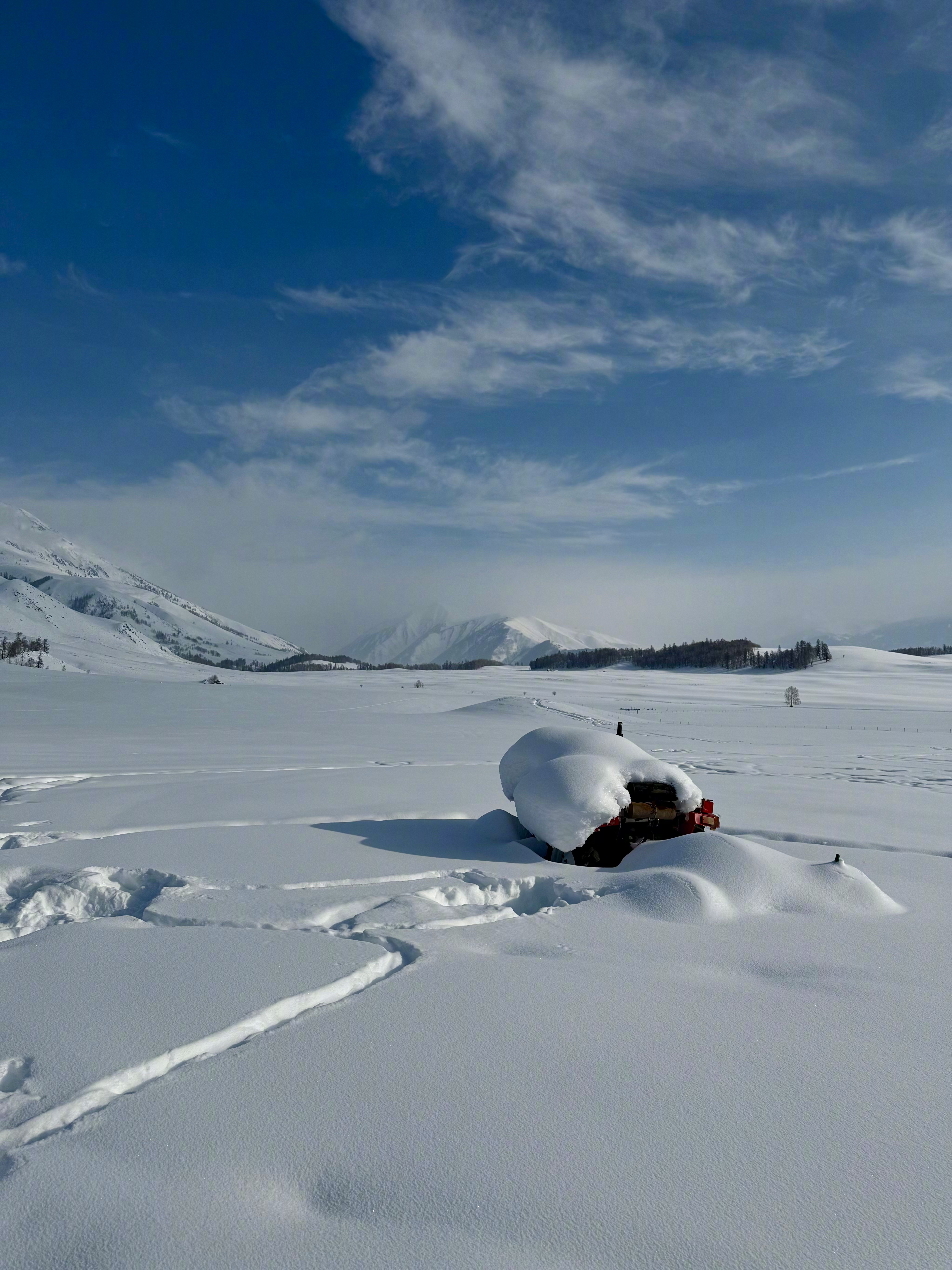 和伍嘉成一起去阿勒泰 不想上班了，想去阿勒泰！😭 伍嘉成带着新歌《阿勒泰记得我