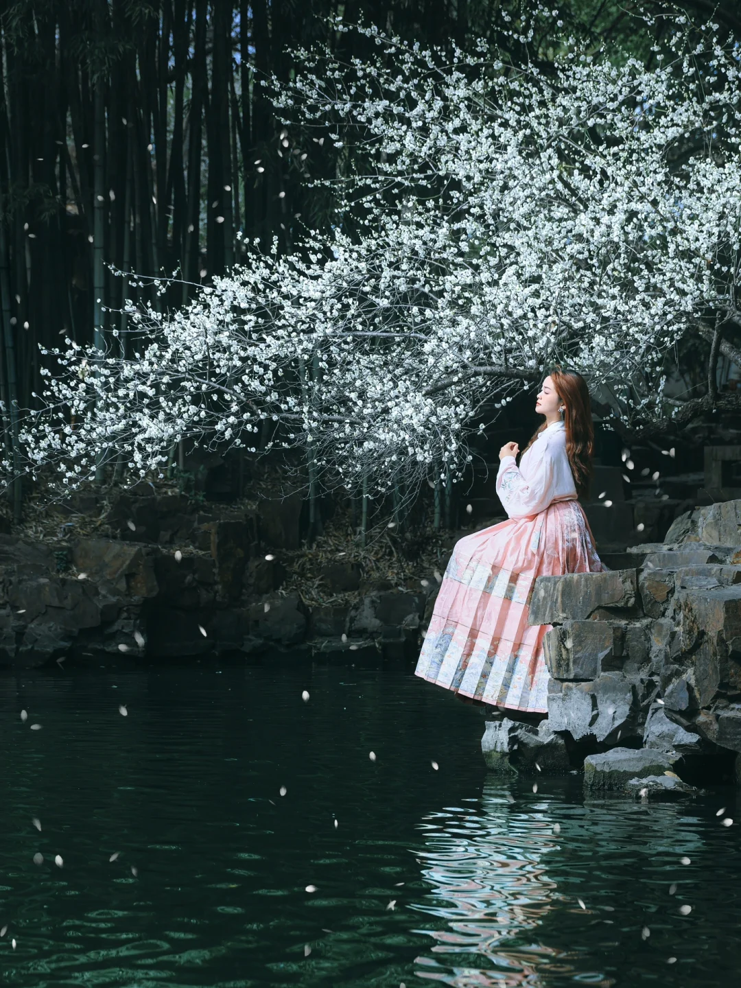 苏州这一棵小众白梅🤍直接封神了‼️