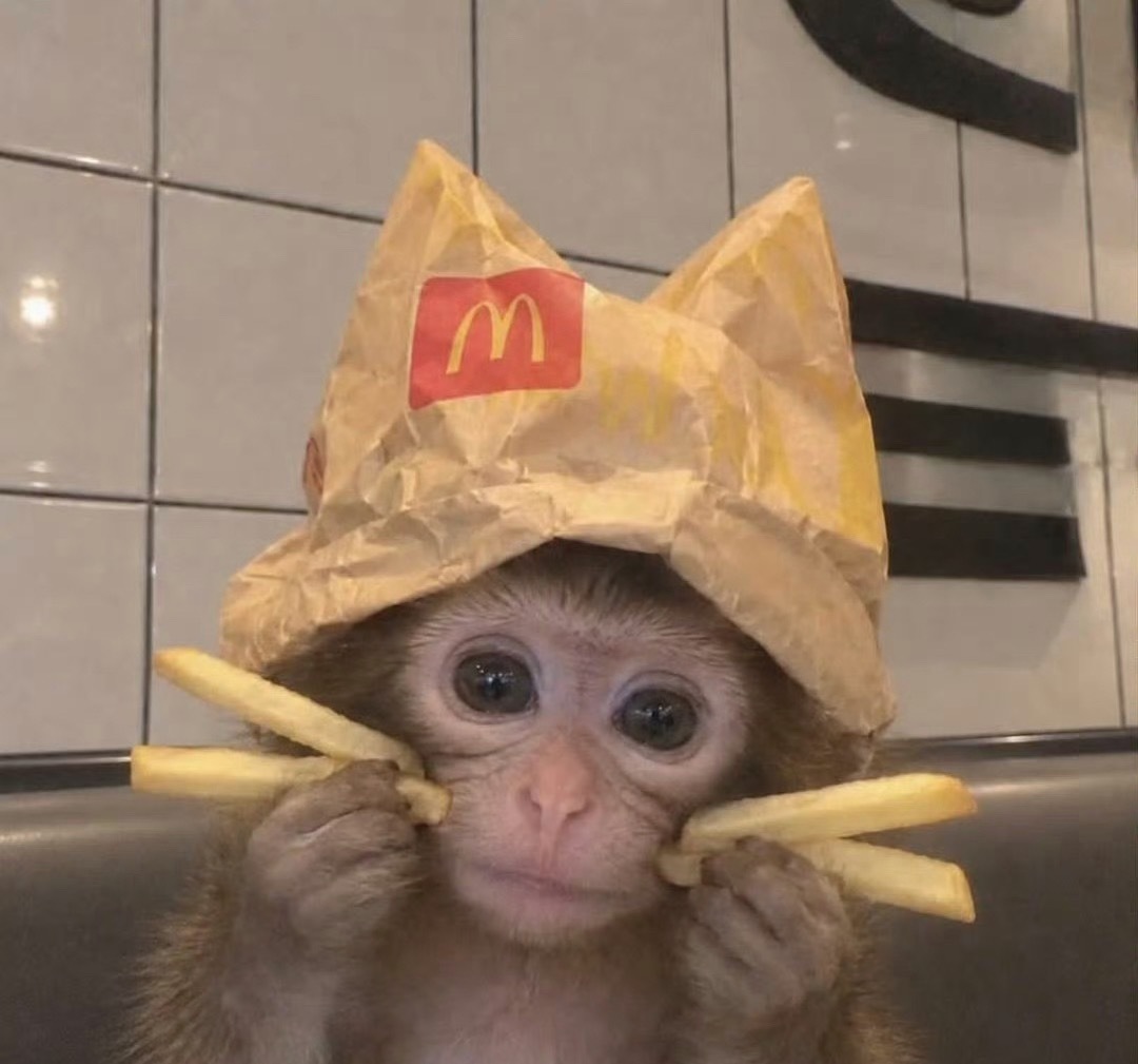 今天摸鱼给我摸爽了 ​​​