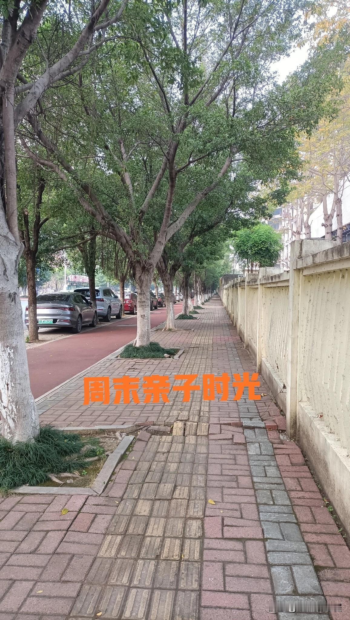 我老婆可能疯了，居然让我教小学六年级的小儿子打麻将，每周五、周六晚上打一次。美其