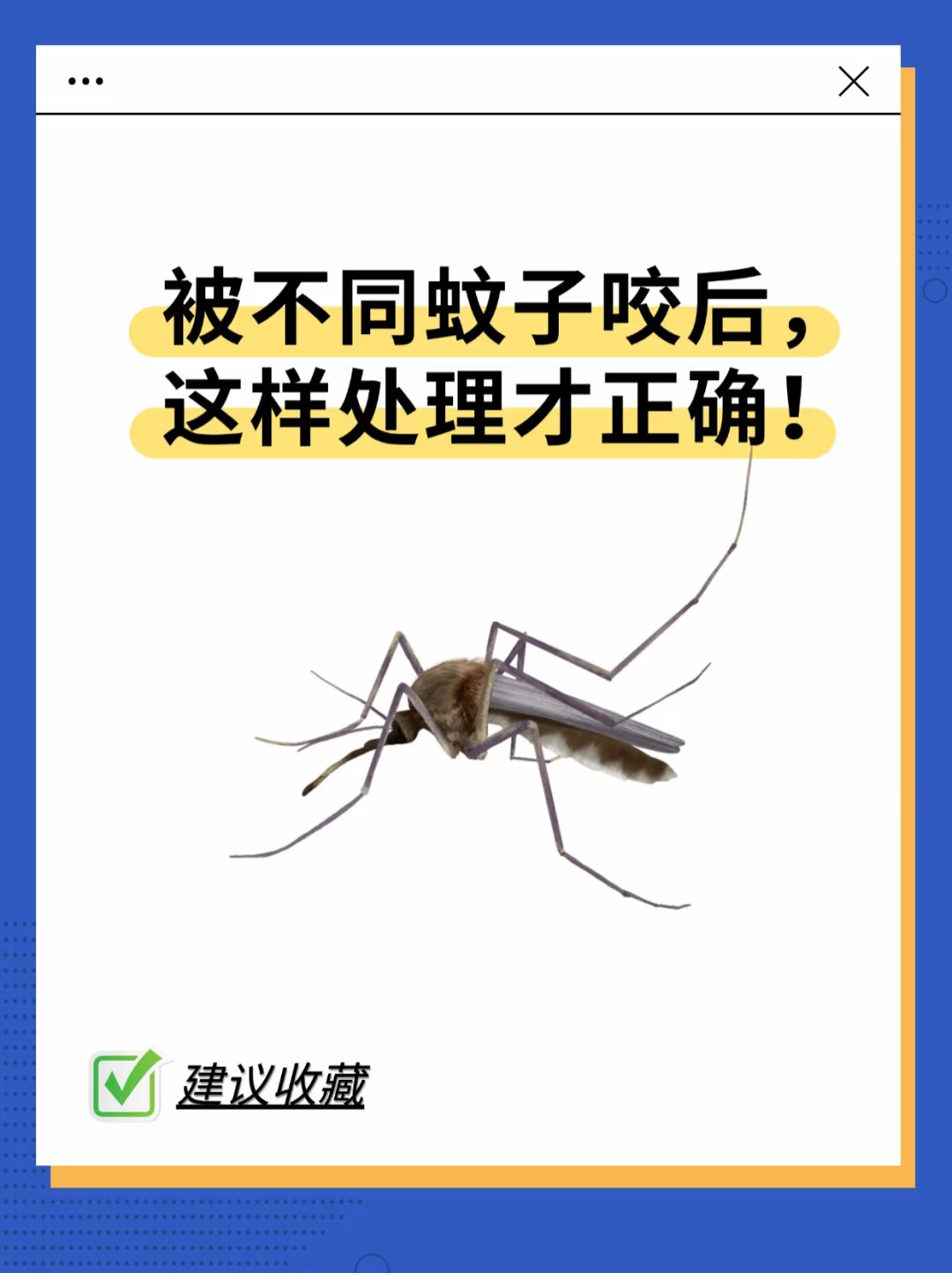 被不同蚊子咬了以后，这样处理才正确！