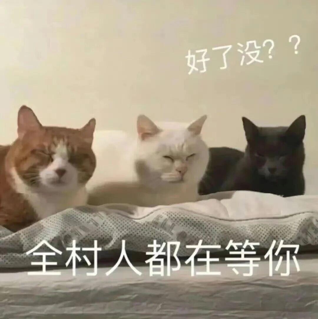 妹纸主厨概念 