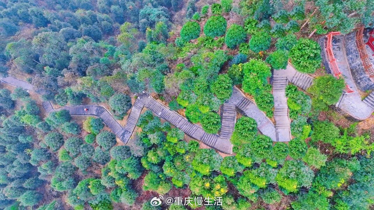 #重庆主城里的小华山#【藏在主城里的“小华山”，快来赴一场徒步之约~】南温泉的网
