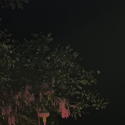 阳光信用阳光信用每日一善  善良是一种修养，善待他人就是善待自己，要想得到别人的