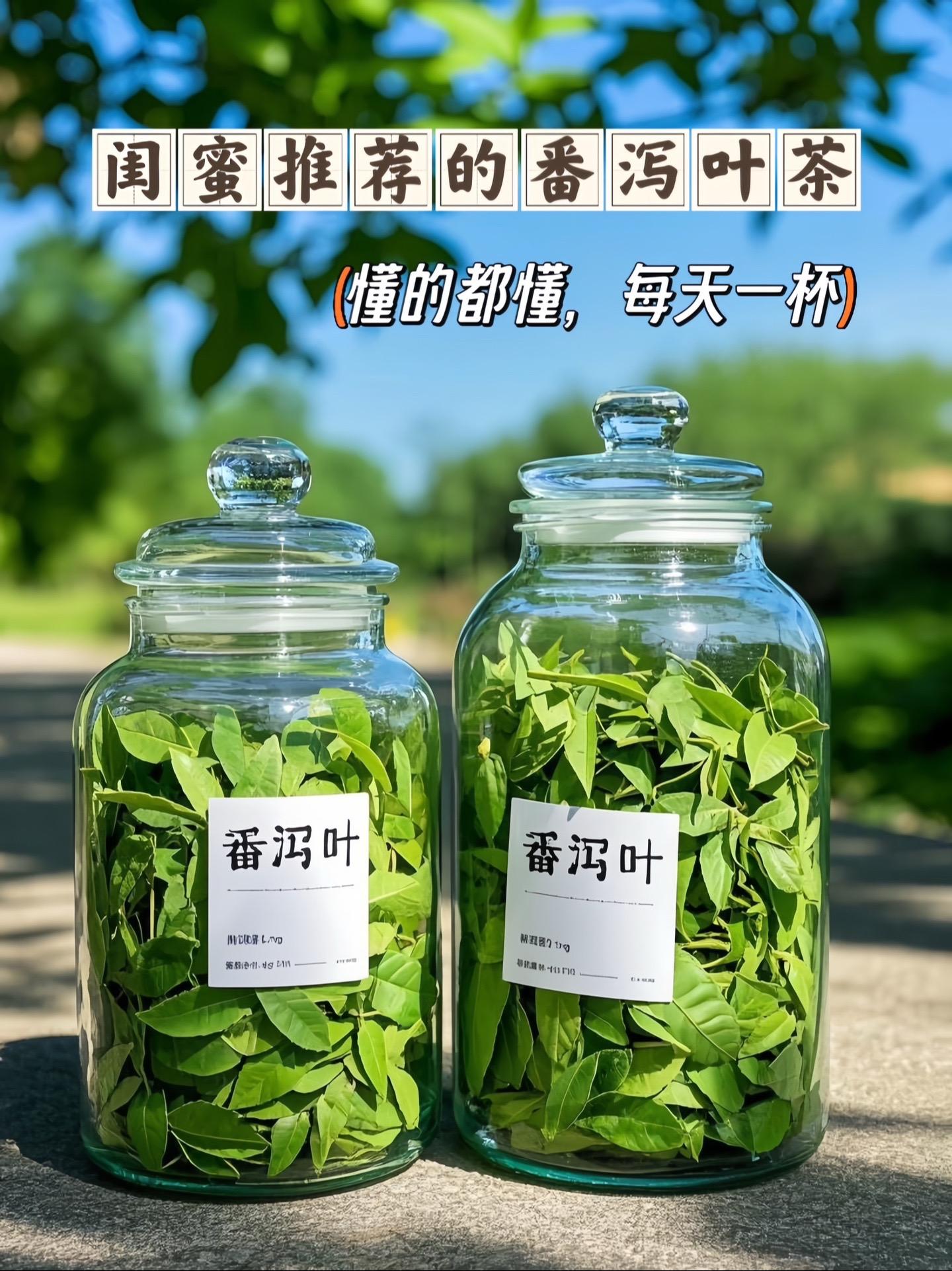 家人们，是不是总感觉肚子胀胀的、不顺畅？快来试试这款番泻叶茶，真的是肠...