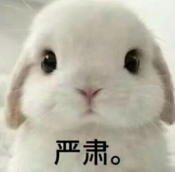 丁禹兮沈言奔赴沈言 