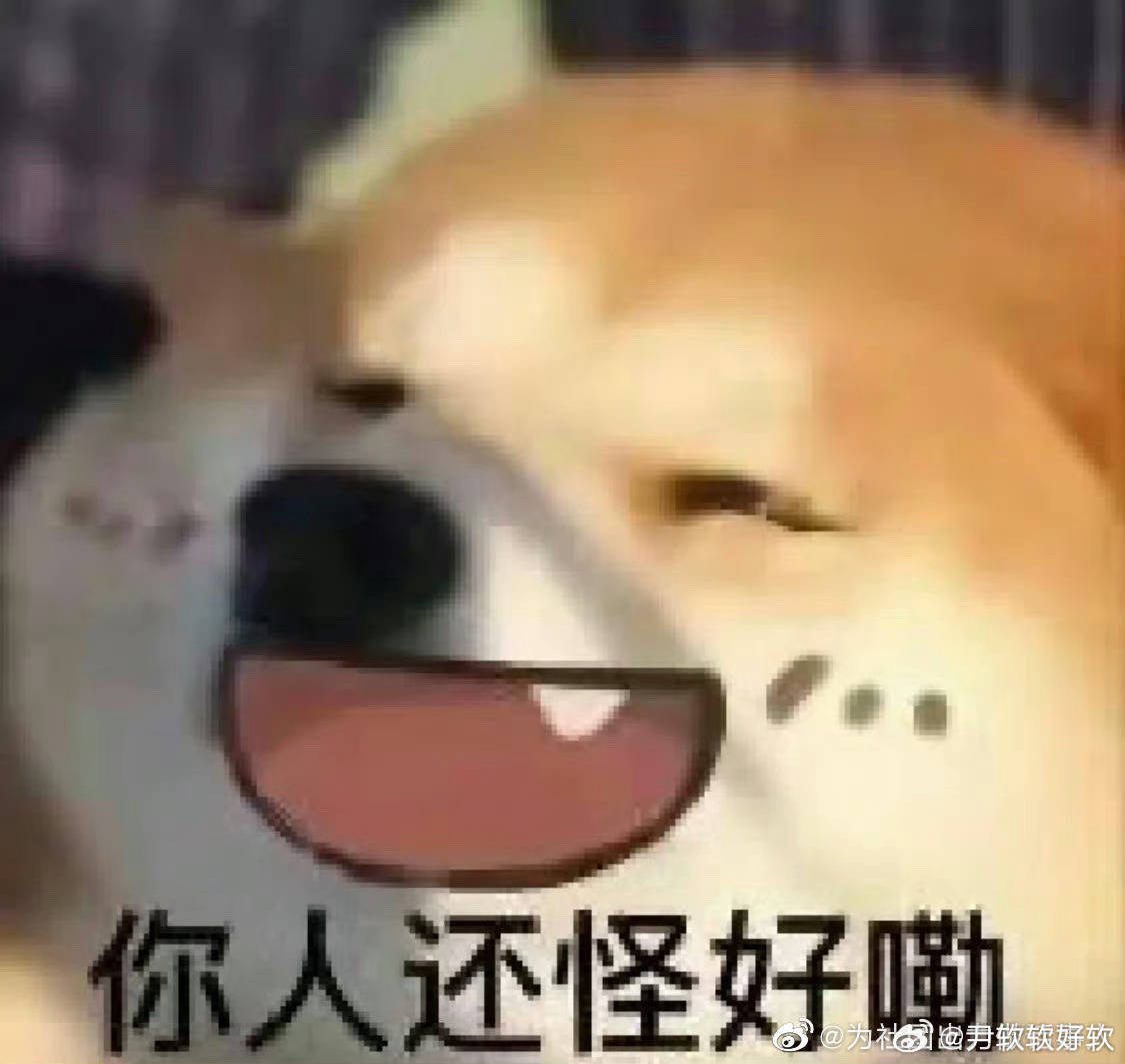 大吉胡咧咧 挟恩不图报66枣康的肉饼烙得很有水平。酥皮烫馅，连平日里不怎么爱葱花
