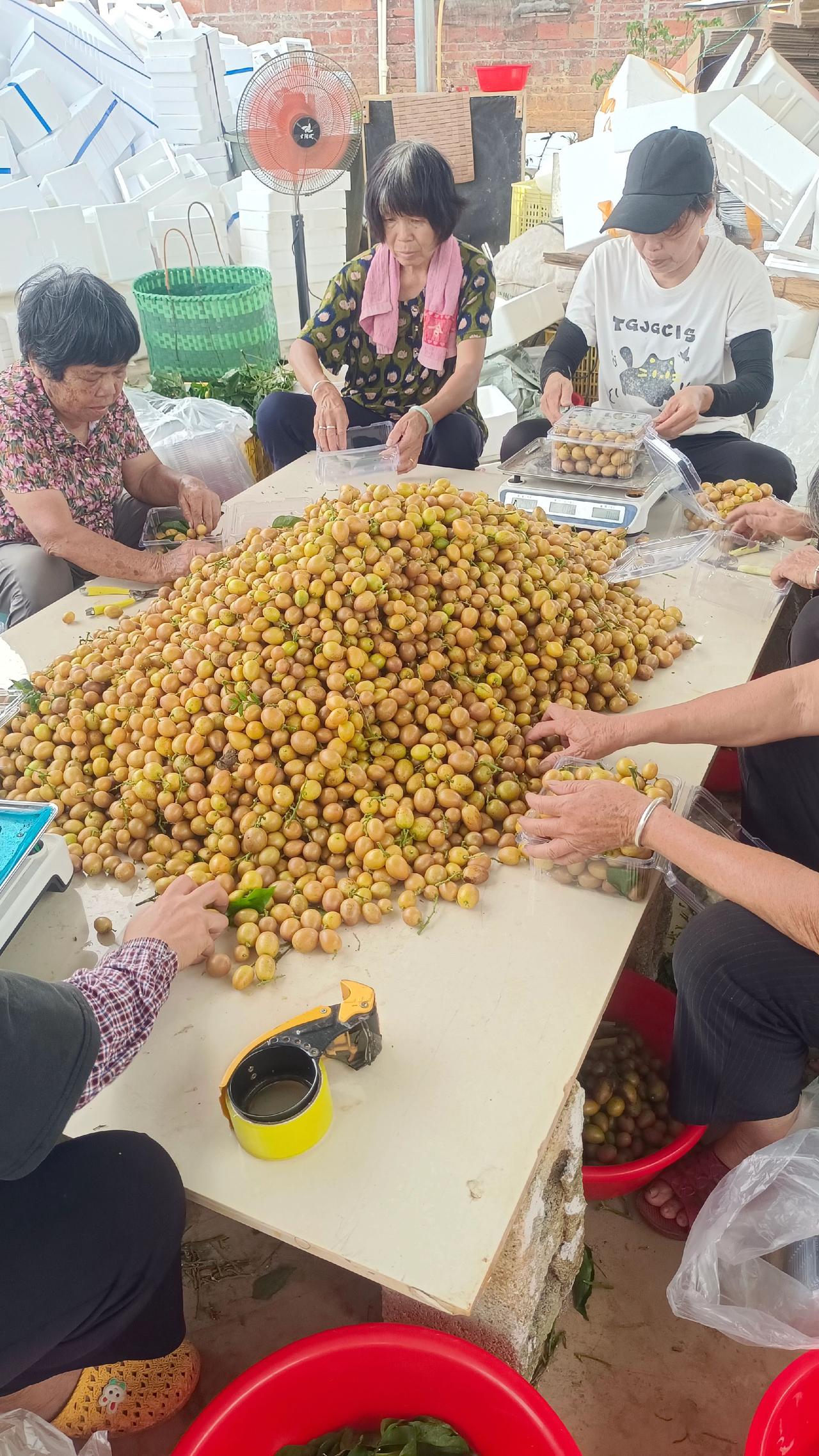 顺丰+冰袋包邮，老聂的黄皮跟随国际油价波动