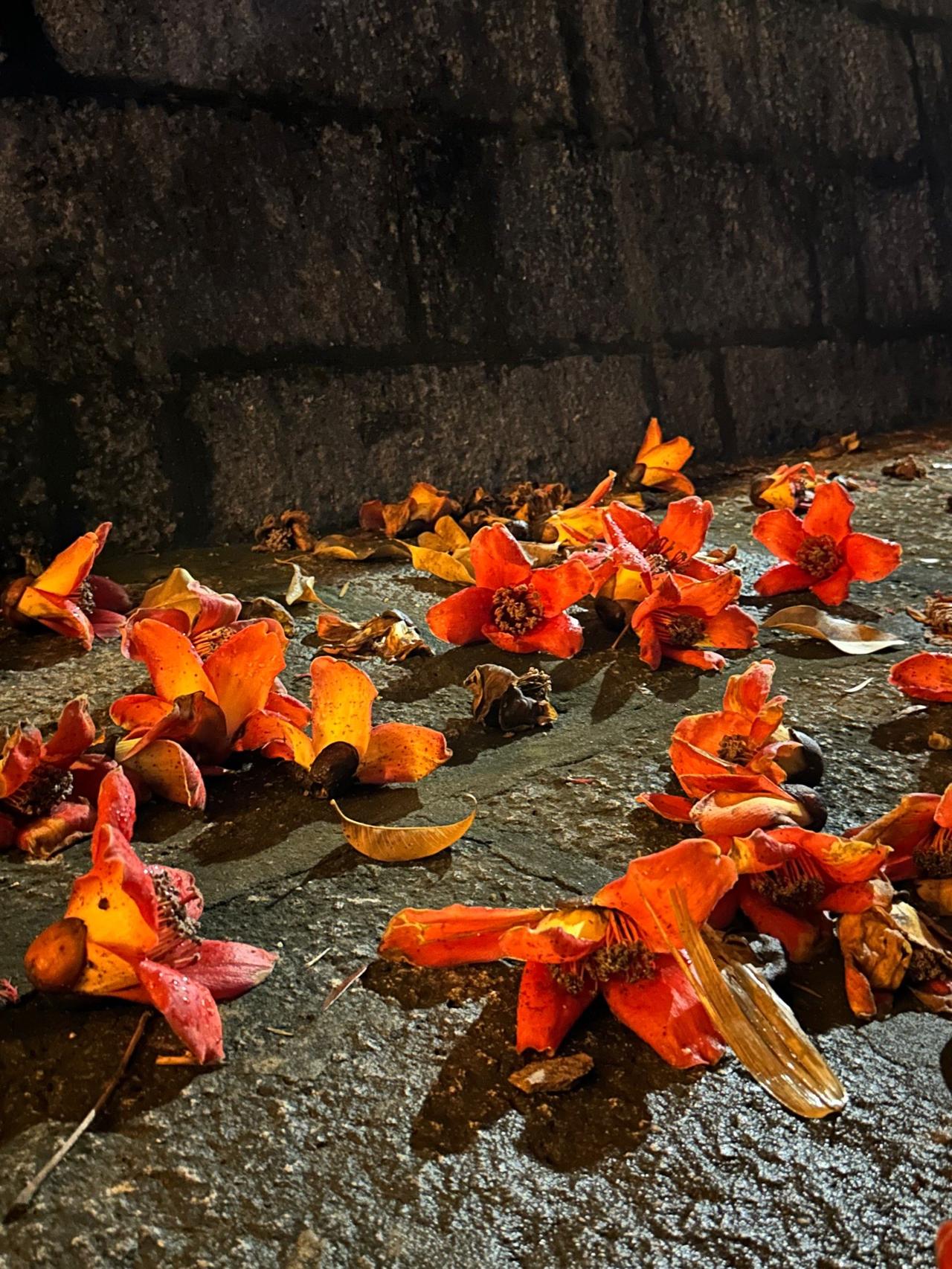 下联：晓风深巷扫残花

赏析：上联“暮雨小楼凝落蕊”写黄昏雨丝中，小楼檐下凝聚着