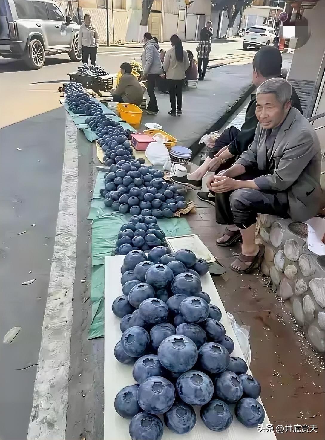 自从有了AI，我的眼睛就叛变了，成了帮凶，和我脑仁里本就不富裕的知识对着干！