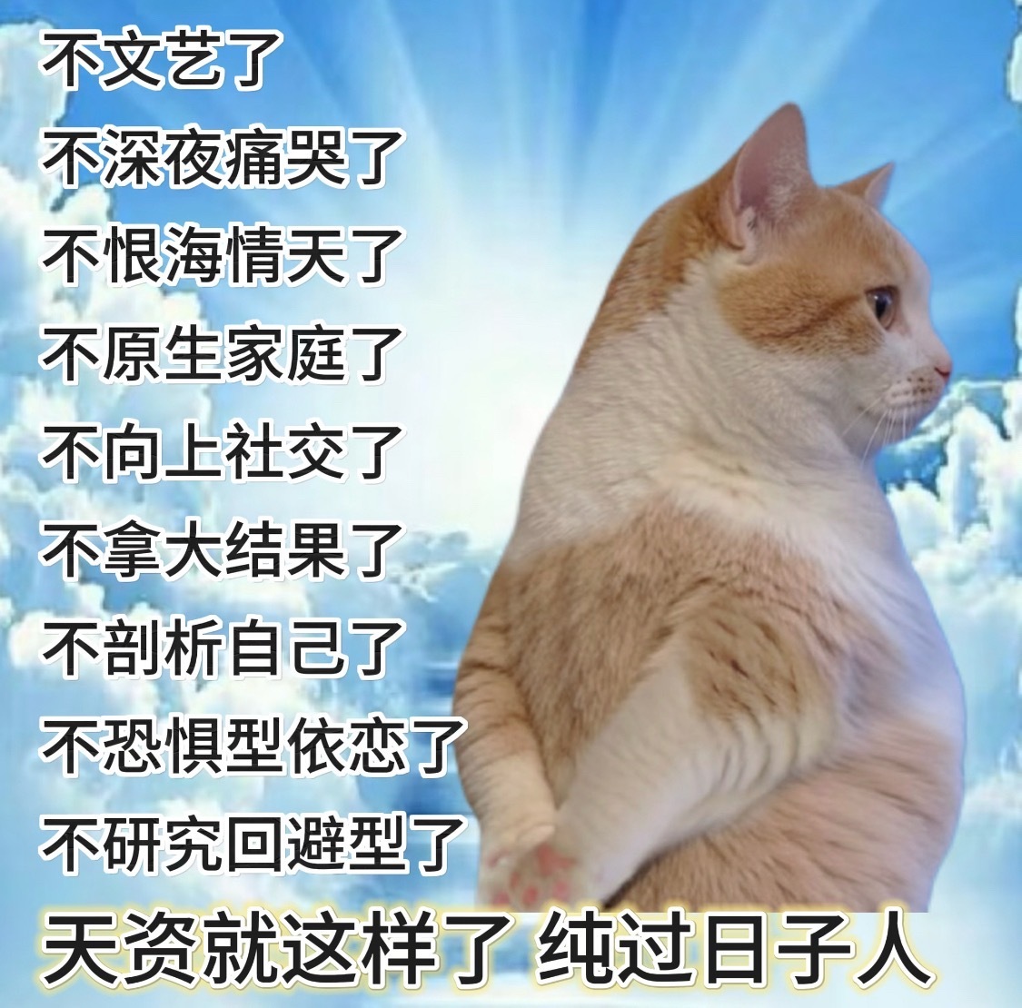 可爱的猫猫表情包[哈哈] ​​​