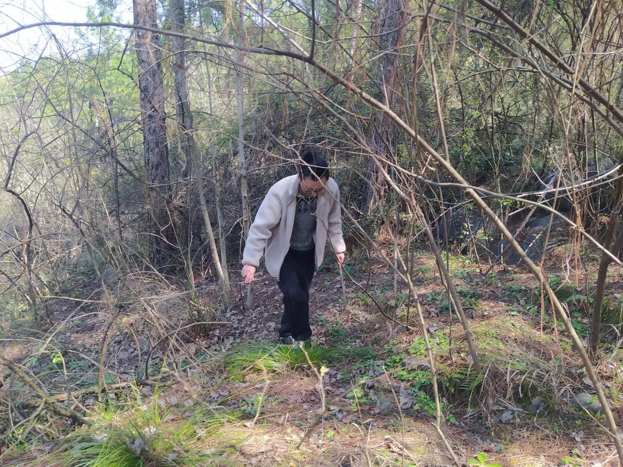 很好奇当地的村民，怎么都对这些山间的野味一点也不稀罕啊，从来都没看到过谁来山里找