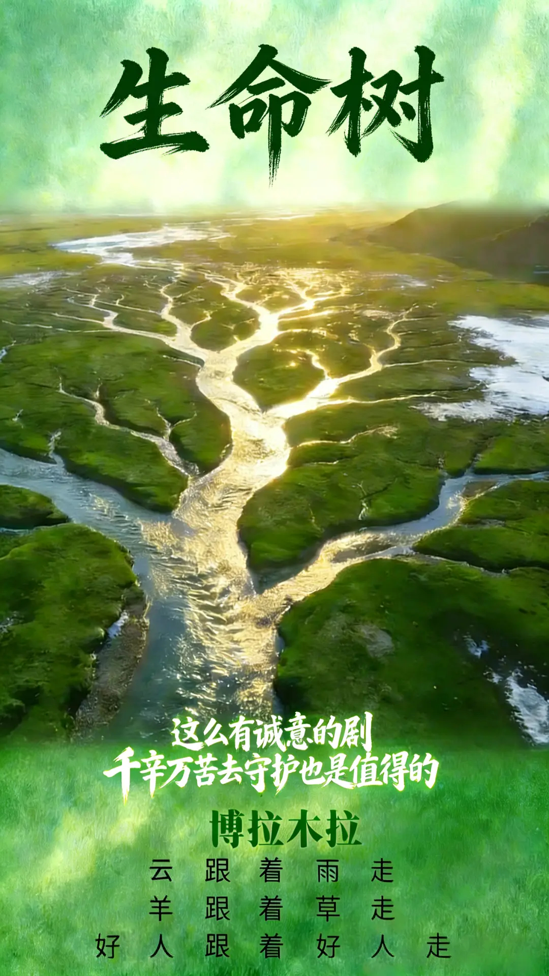 生命树爱奇艺热度破8500生命树这么有诚意的剧，千辛万苦去守护也是值得的！ 