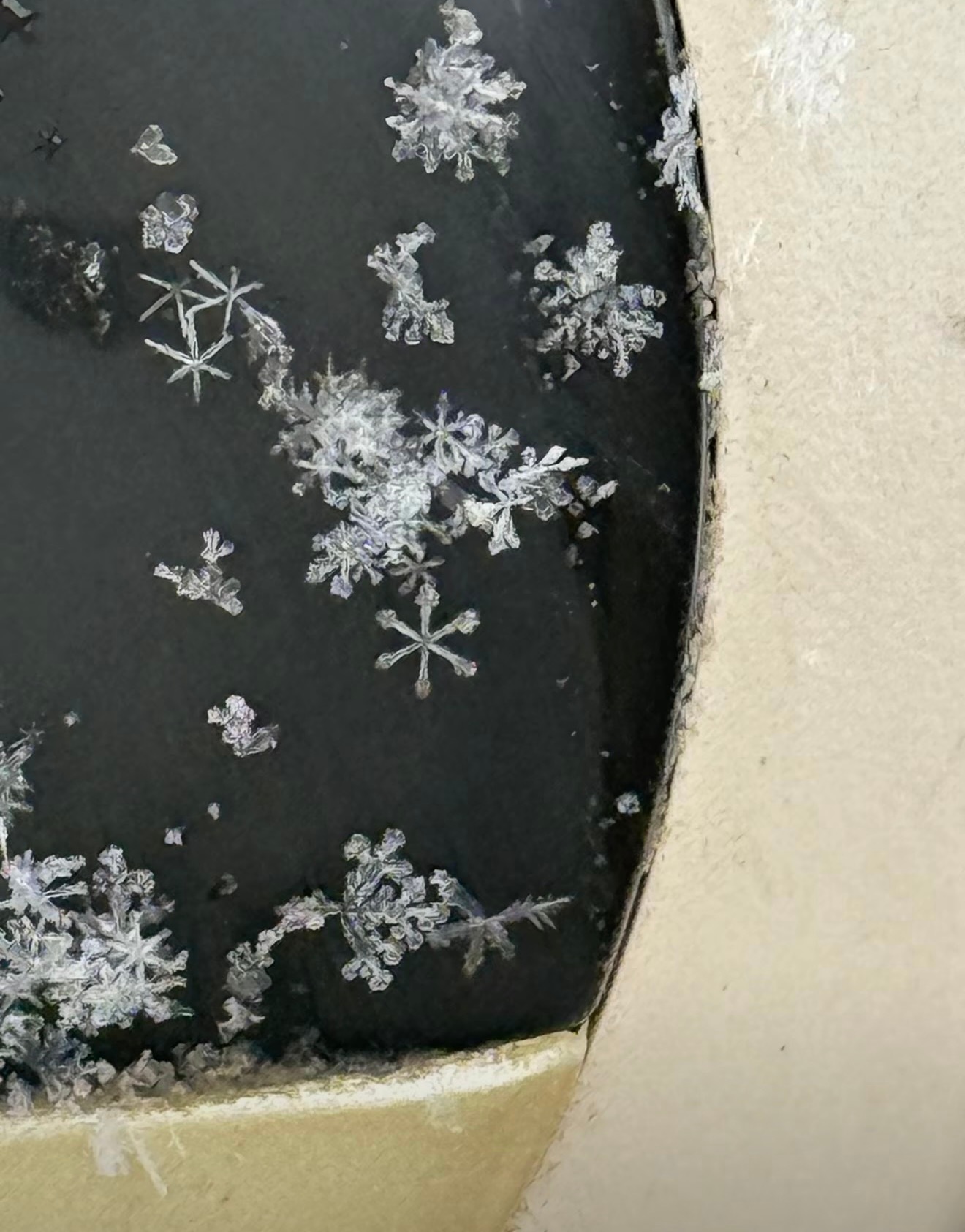 啊啊啊啊刷到这个 评论说容城真的在下雪❄️ 