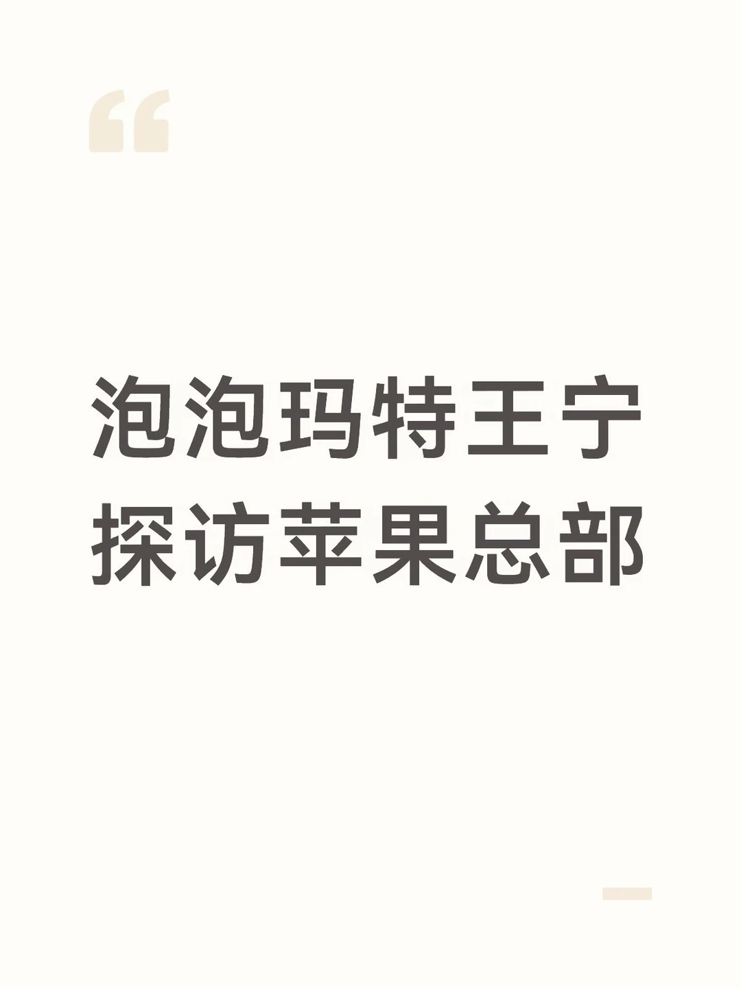 泡泡玛特王宁探访苹果总部