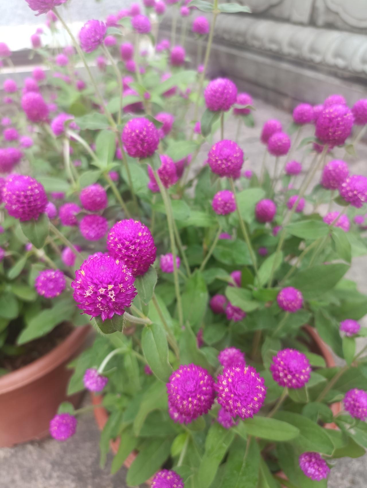 家庭灭蚊怎么做才最有效呢?
灭蚊，只是心里安慰。蚊，哪灭得完？这世间任何生物的存