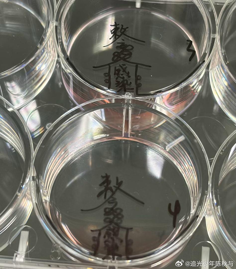 当你的研究生朋友说自己终于上道了还以为是开悟了原来是当上道士了校园共创计划你好春