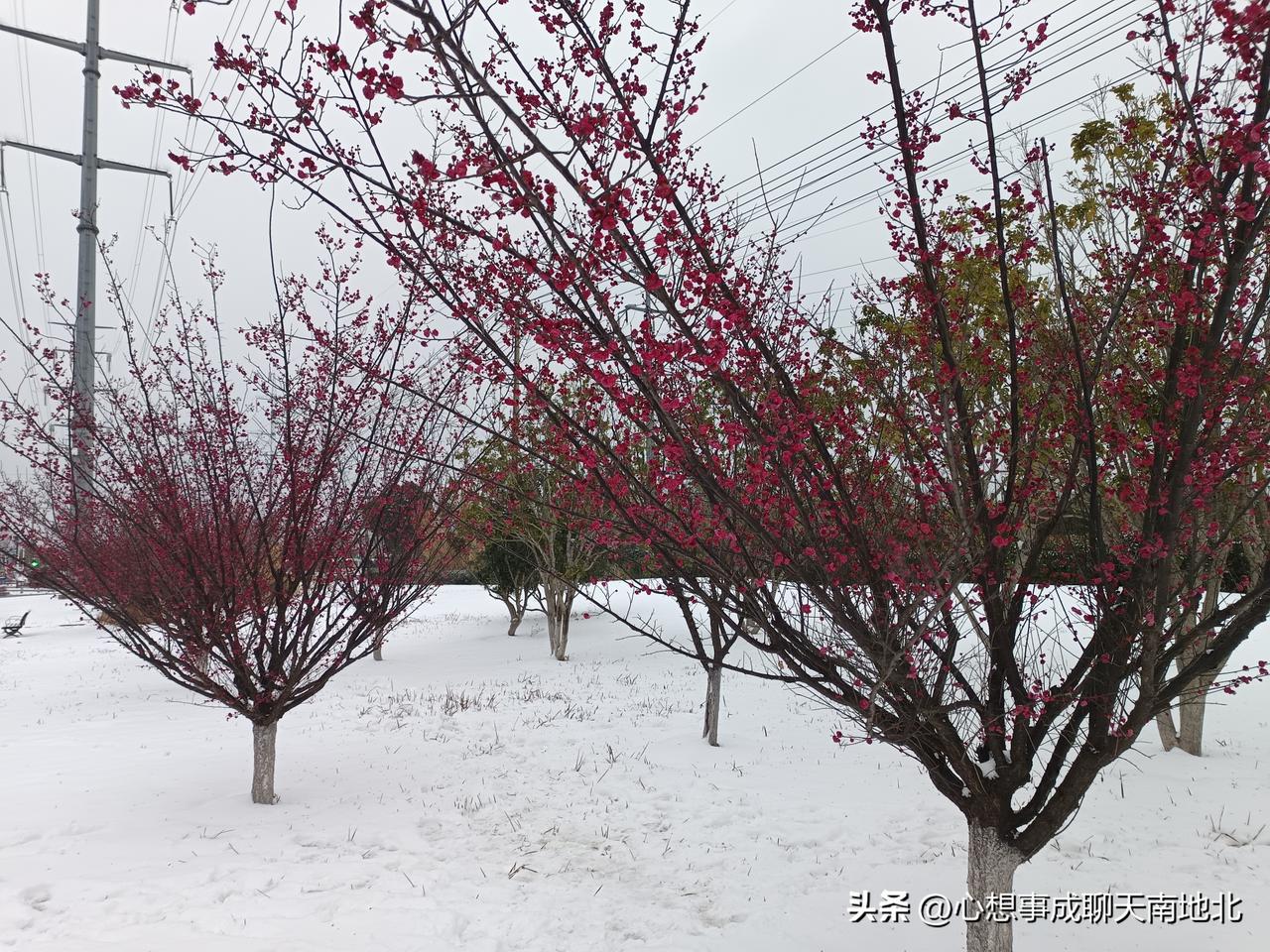 事业上：强势的女人往往有较强的进取心和决断力，在工作中可能更容易取得成功。
缺点