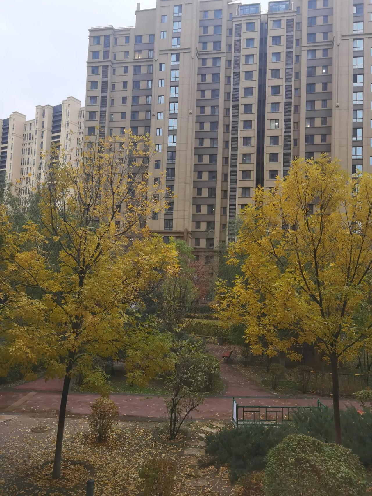 今天早上，呼和浩特市又下雨了，这也许是呼和浩特市最后一场雨了吧。今年，呼和浩特市