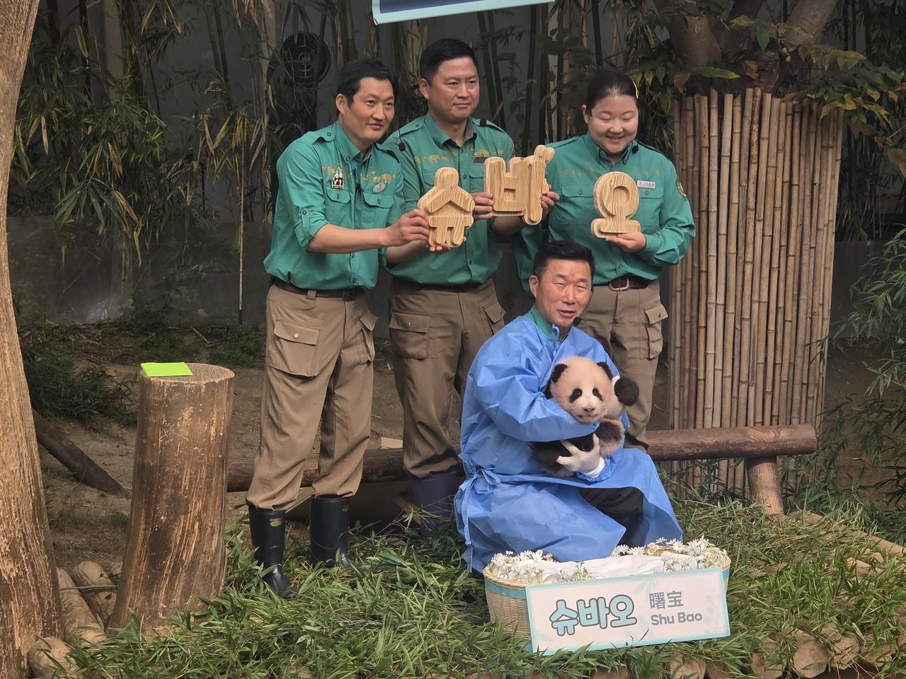 9月11日是旅韩大熊猫夫妇“乐宝”和“爱宝”的第四个女儿出生100天纪念日。韩国