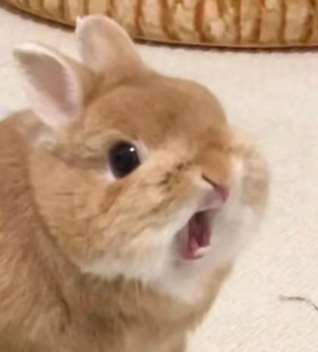 失败？不可能！ 