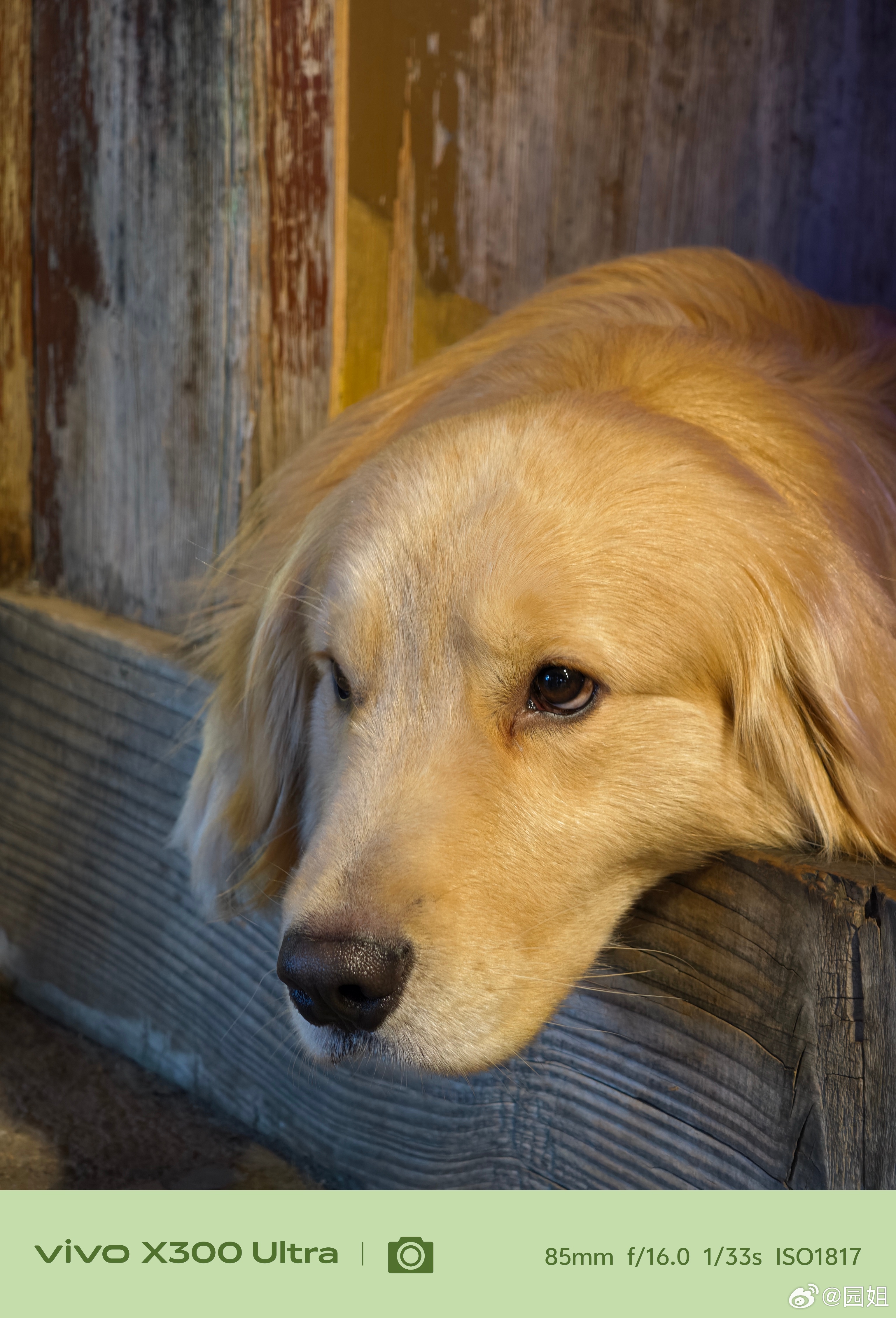 晚安啦，最近一段时间的连续出差终于暂时告一段落，本来以为来丽江可以顺便看看风景，