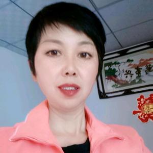雪映梅