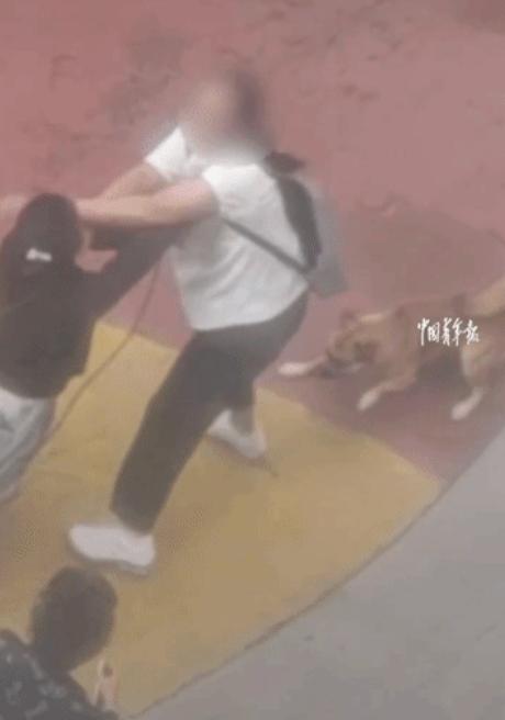 谁能想到，只是随口一句善意提醒，居然能在小区里演变成一场全员失控的冲突场面。辽宁