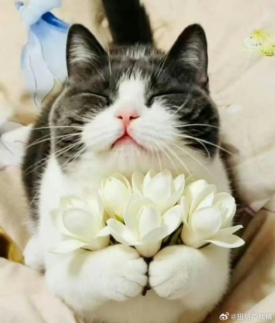 明天十点 