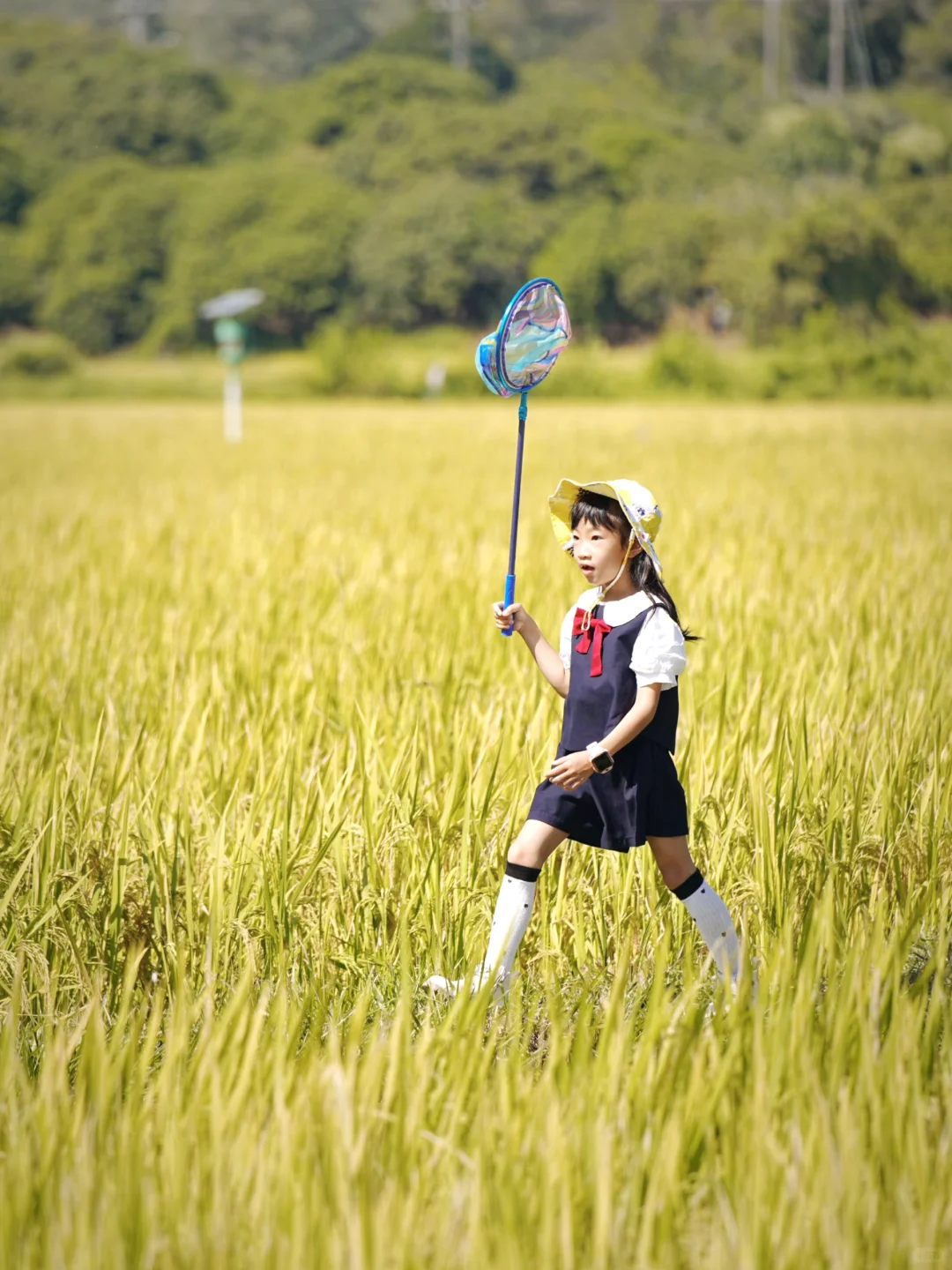 为什么要拍照记录小朋友的成长