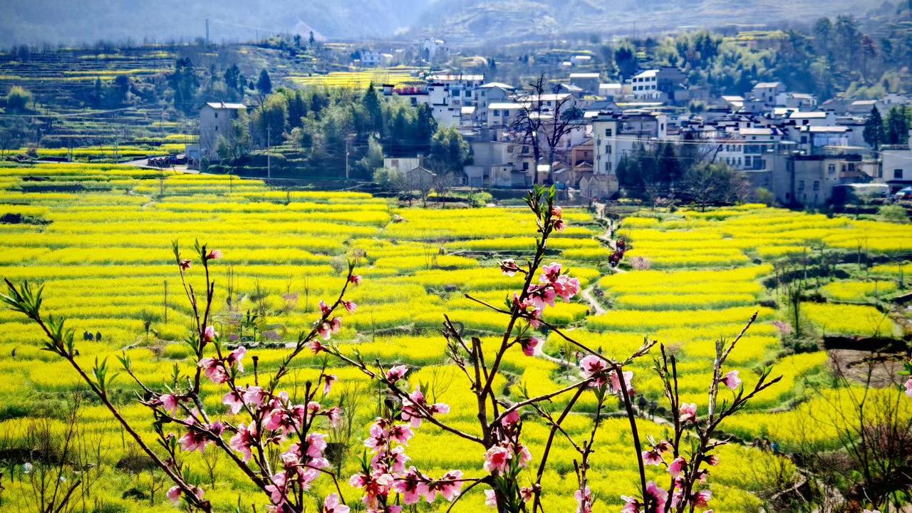 春日生活打卡季皖南的春色，是水墨画里最灵动的笔触。它不是单一的绿，而是被晨雾晕开