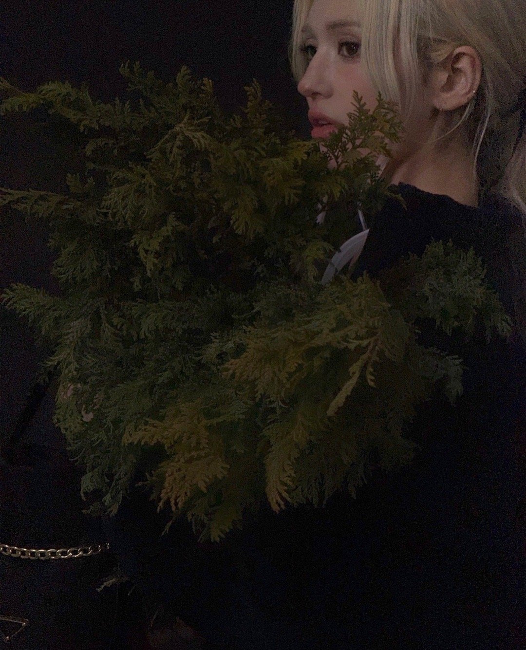 Somi x PradaMerry Christmas  ～ 美米也上线宣传啦?