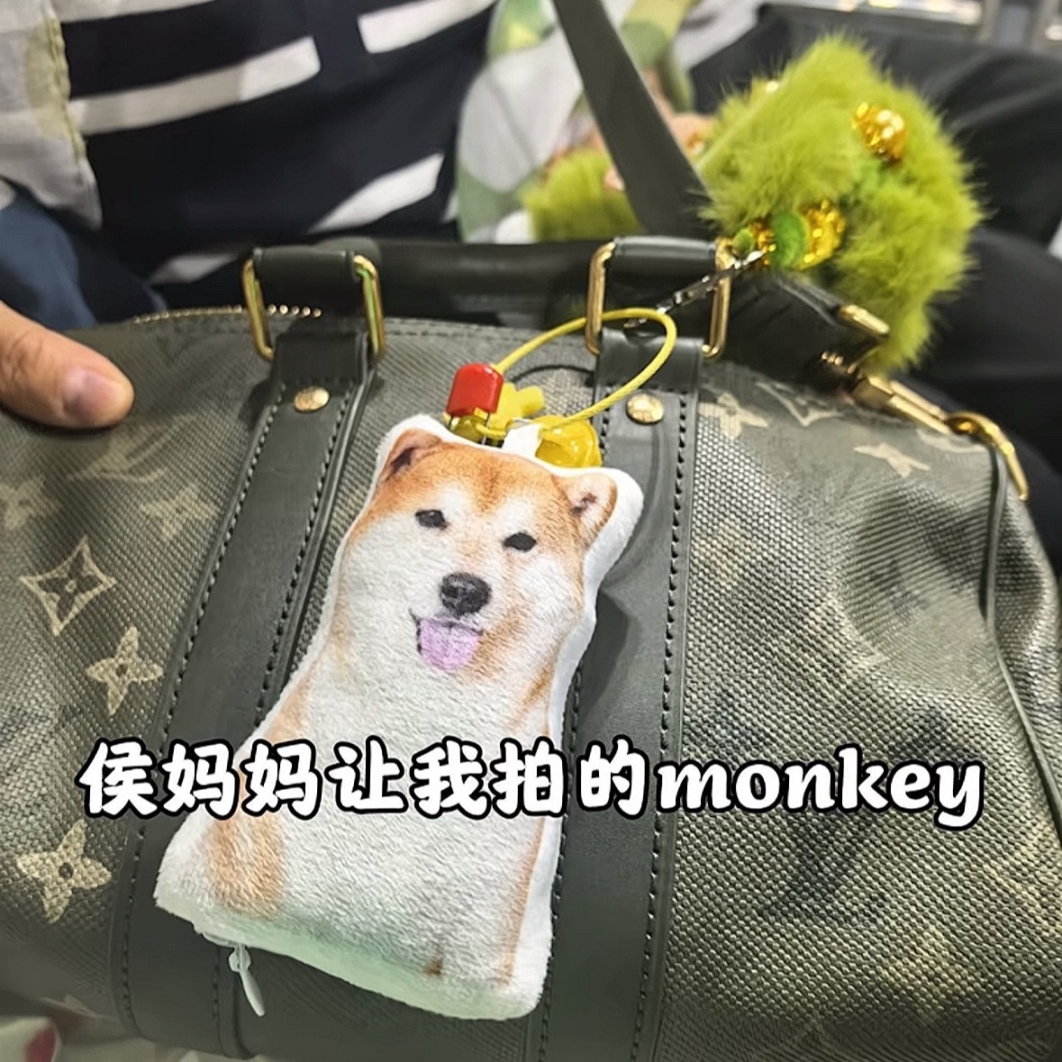 我的吗呀，侯妈自己也在用lv，全家lv？ 