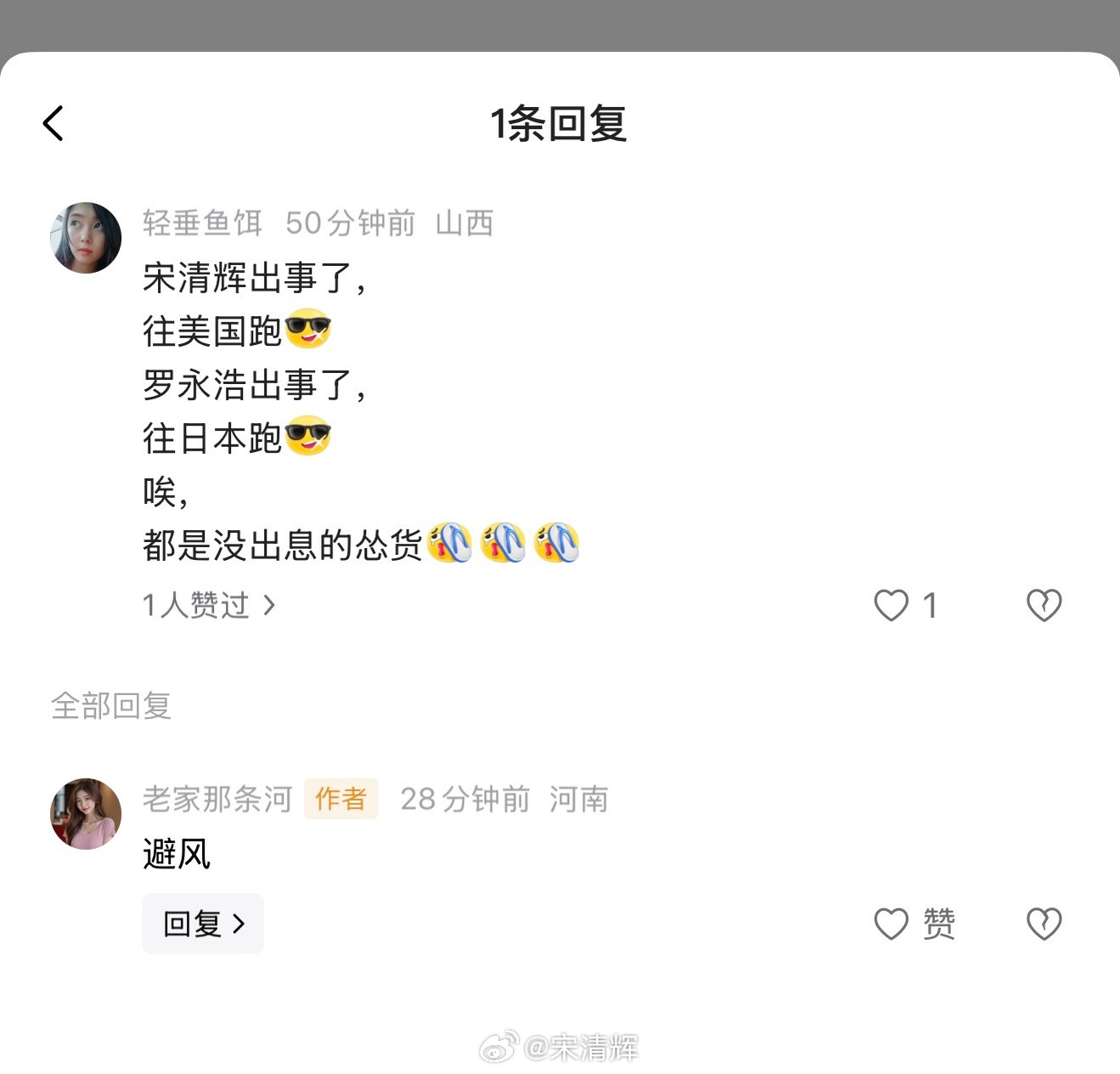 山西网友留言 宋清辉出事了，往美国跑罗永浩出事了，往日本跑唉，都是没出息的怂货于