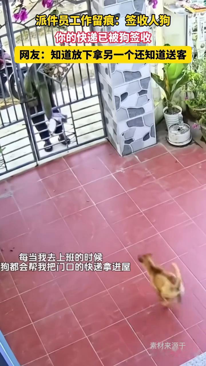 派件员工作留痕：签收人狗。
你的快递已被狗签收。网友：知道放下拿另一个还知道送客