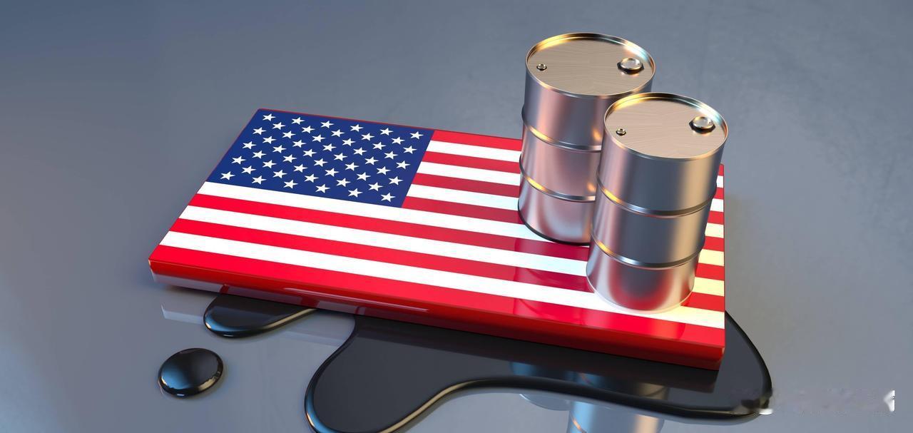 美国硬抢中国1.44亿原油？中方反制让美企亏20亿，这波操作太爽！

    美