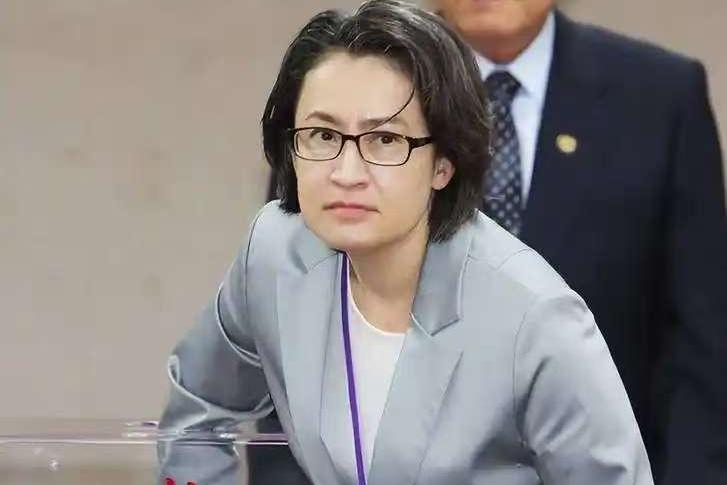 萧美琴访欧，来想借机造势搞文化独之，却被欧媒意外打脸！

11月8日，香港《卫报