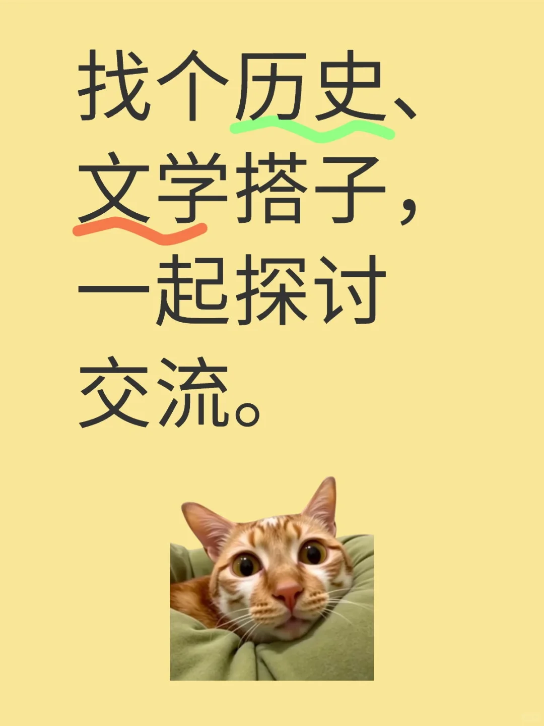 找个历史、文学搭子，一起探讨交流。
