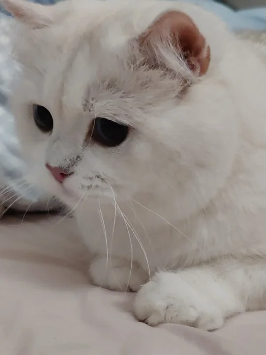 人间小萌物｜他到底知不知道自己这么可爱啊